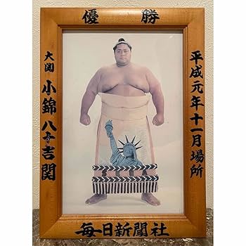 Amazon.co.jp: 大相撲 優勝額 曙 武蔵丸 小錦 セット 横綱 大関